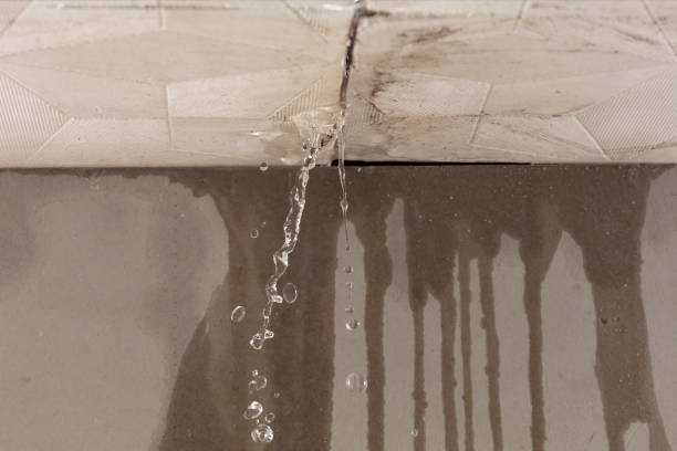 Professional Burst Pipe Cleanup technician working in Springville, TN